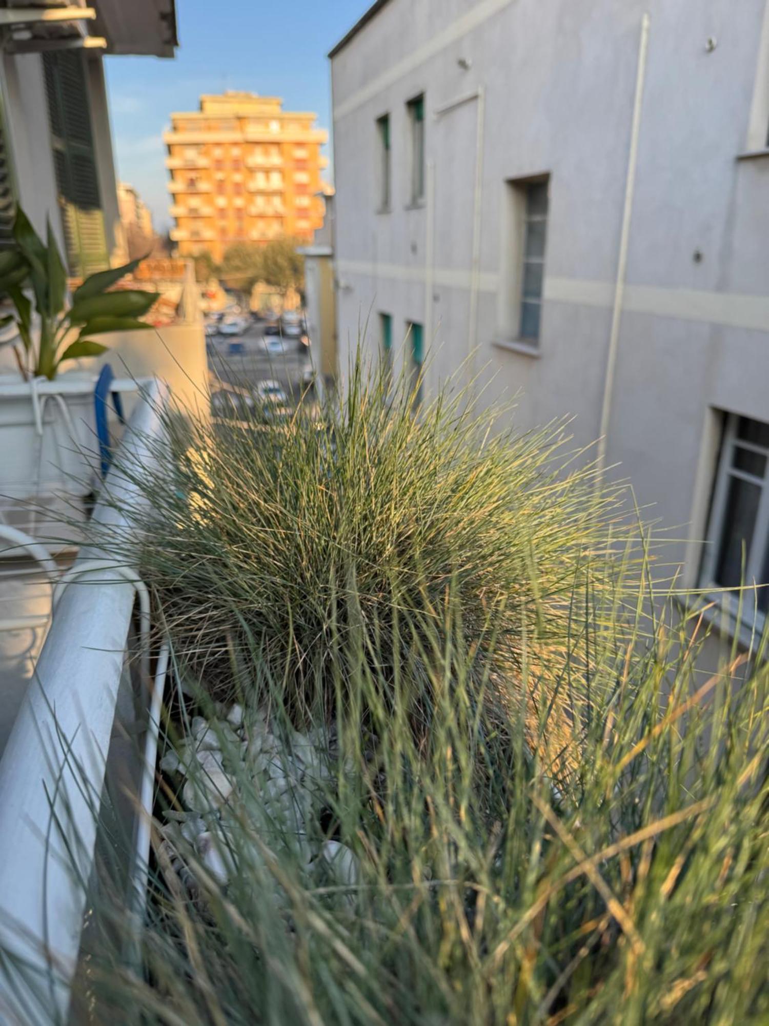 Okra Apartment Pescara Centro Zewnętrze zdjęcie